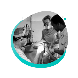 massimoGReishbergerBN https://dentistgarden.touchlabs.it/wp-content/uploads/2024/11/massimoGReishbergerBN-320x320.png